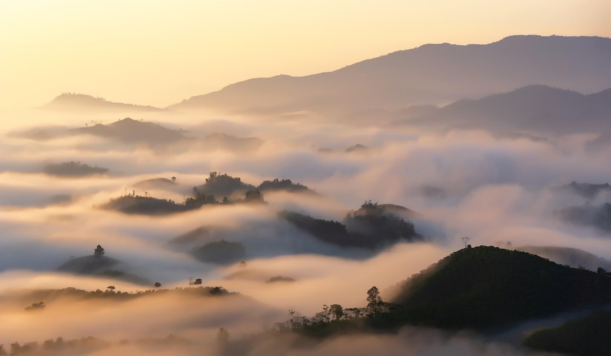 Misty Canvas