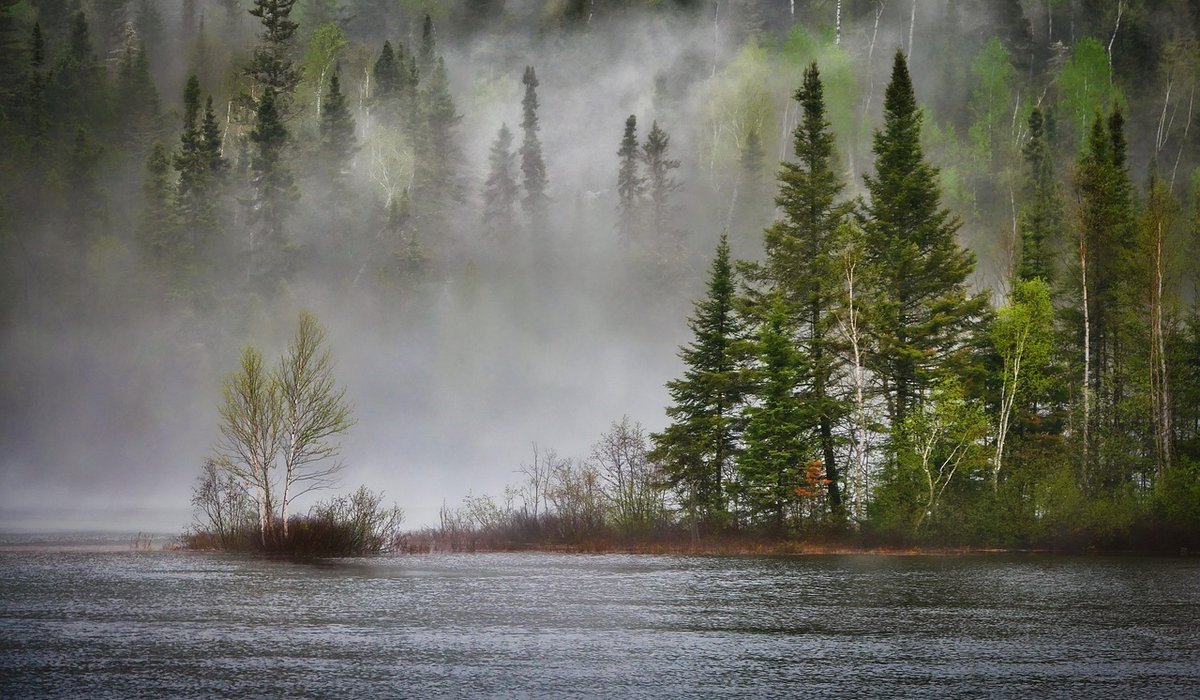 Misty Canvas